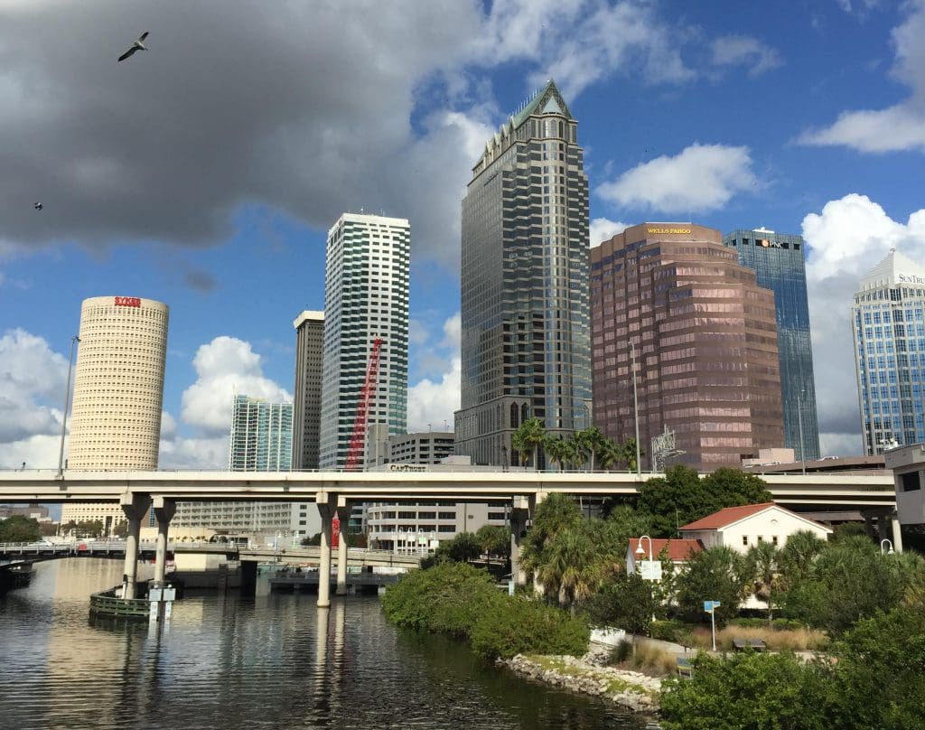 Bee Removal Tampa