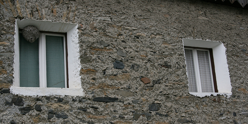 Pest Services: Signs That it’s Time to Call in a Professional