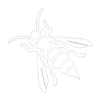 Wasp Removal