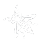 Yellow Jacket Removal